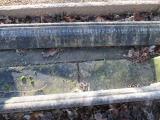 image of grave number 376208